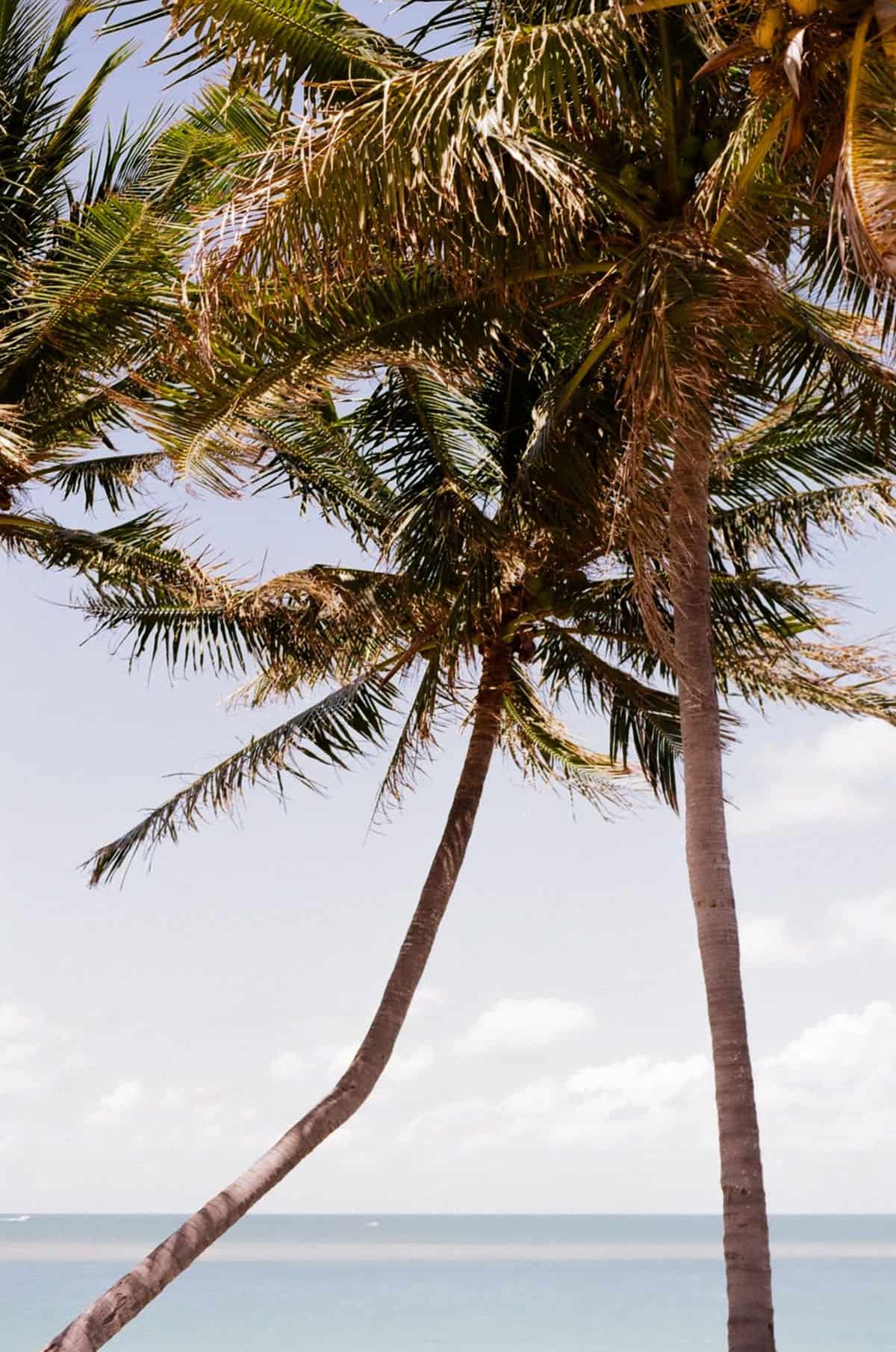 Film in the Florida Keys by Caitlin Cisar on Shoot It With Film