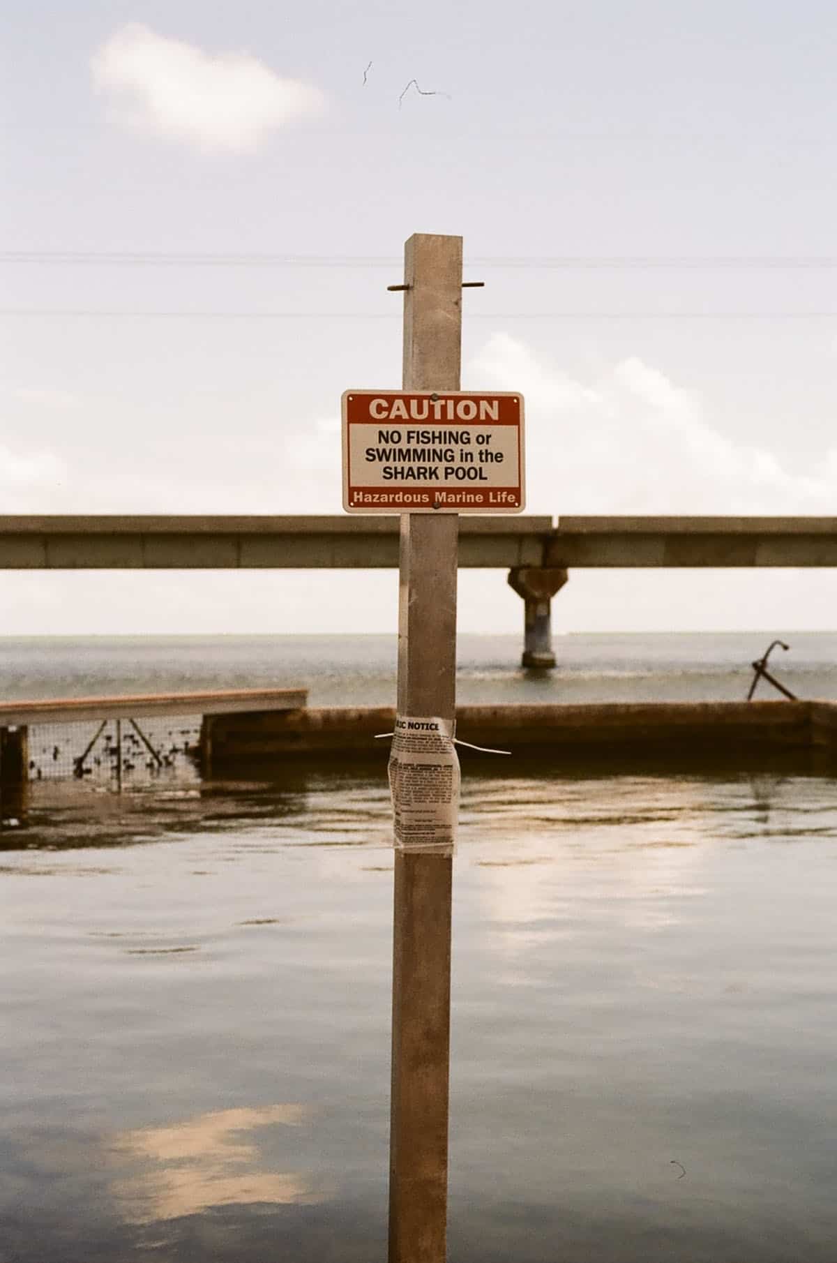 Film in the Florida Keys by Caitlin Cisar on Shoot It With Film