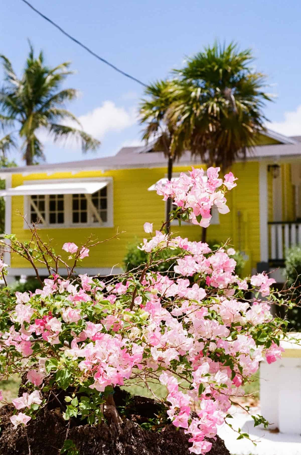 Film in the Florida Keys by Caitlin Cisar on Shoot It With Film