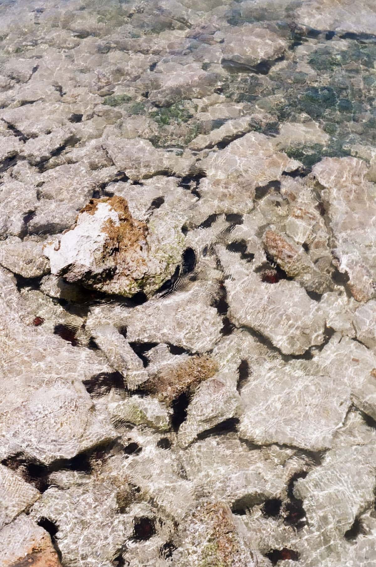 Film in the Florida Keys by Caitlin Cisar on Shoot It With Film