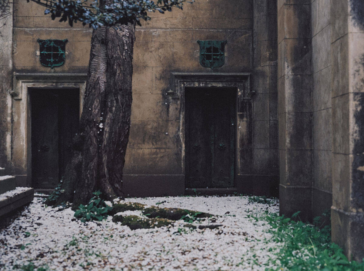 Highgate Cemetery Photo Series on Medium Format Film by Ausra Linkeviciute on Shoot It With Film