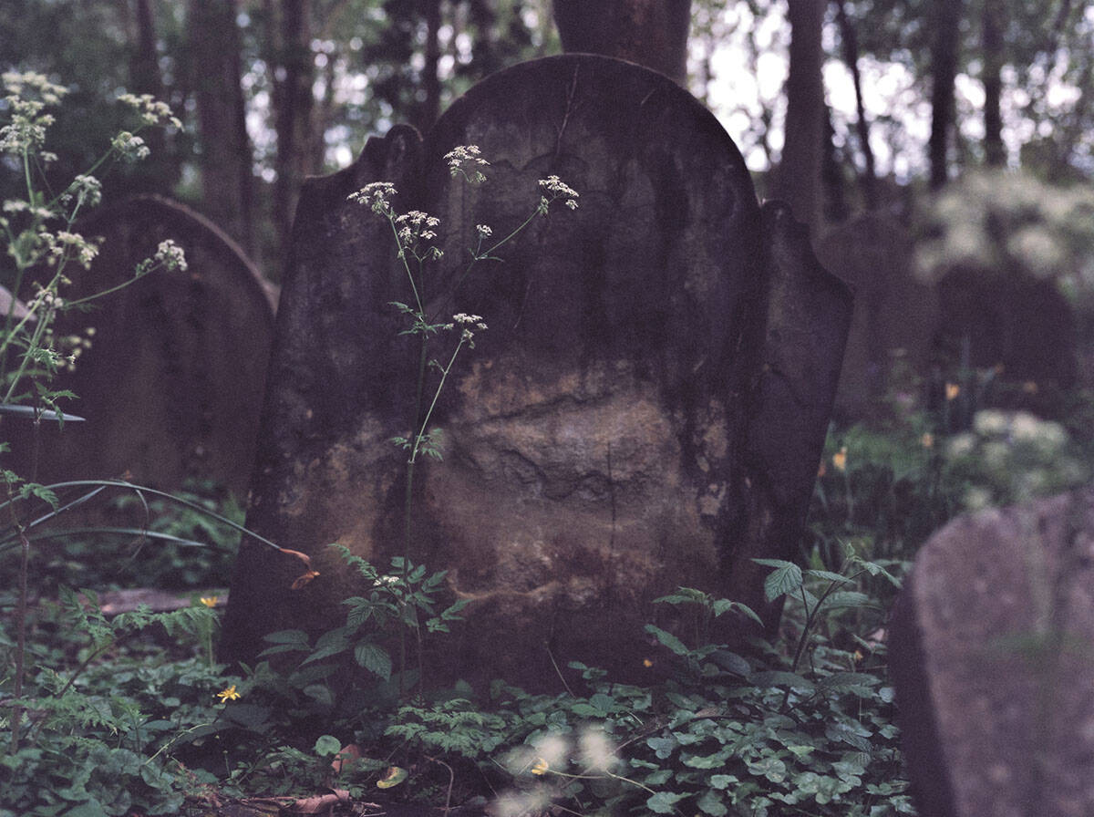 Highgate Cemetery Photo Series on Medium Format Film by Ausra Linkeviciute on Shoot It With Film