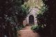 Highgate Cemetery Photo Series on Medium Format Film by Ausra Linkeviciute on Shoot It With Film