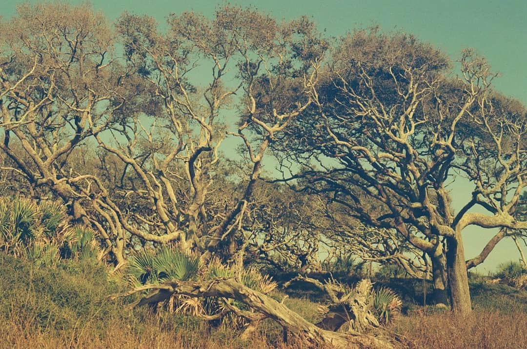 Travel Story on 35mm Film by Mary Shanahan on Shoot It With Film