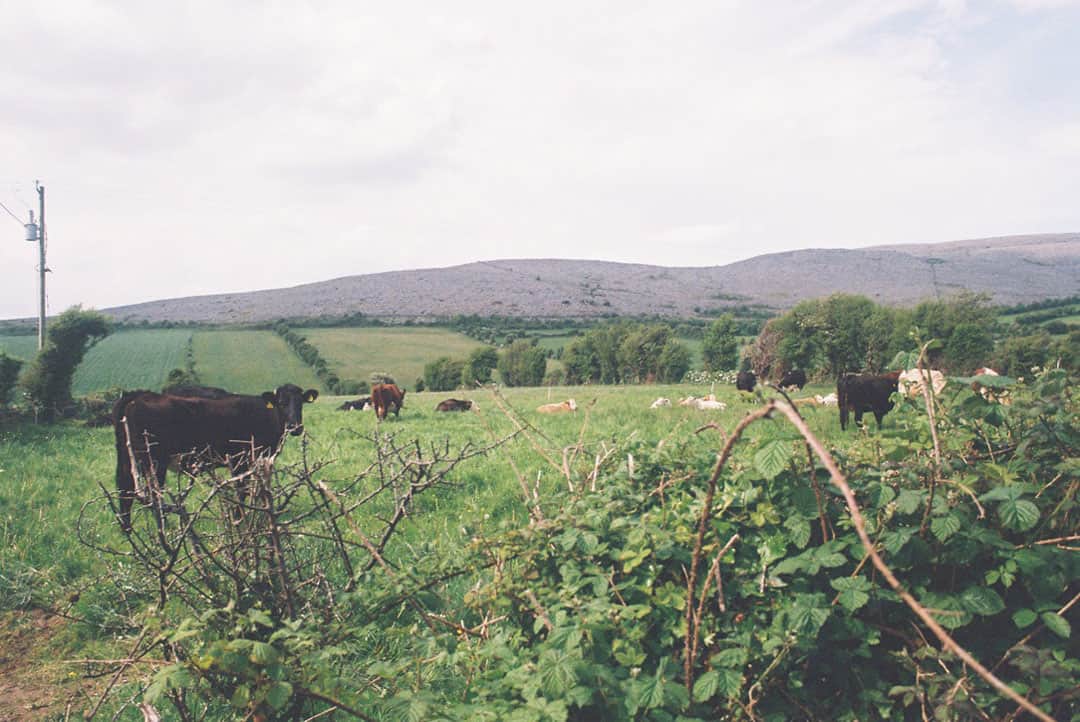 Travel Story on 35mm Film by Mary Shanahan on Shoot It With Film