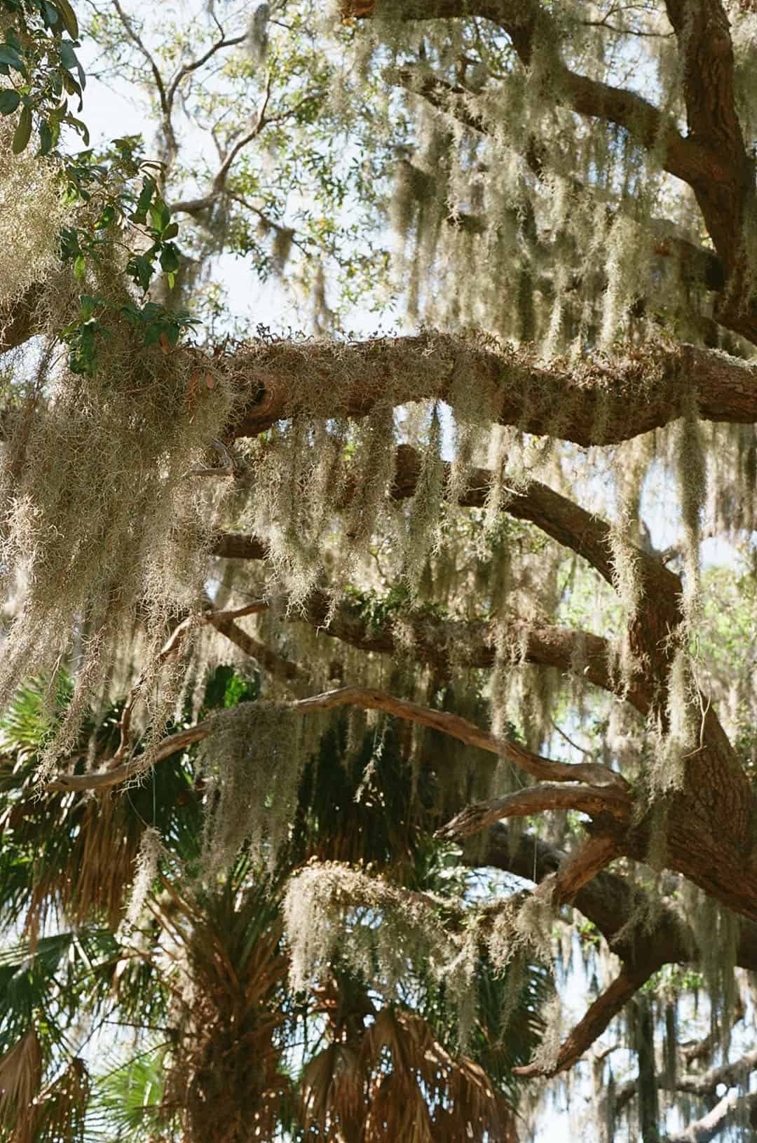 Travel Story on 35mm Film by Mary Shanahan on Shoot It With Film