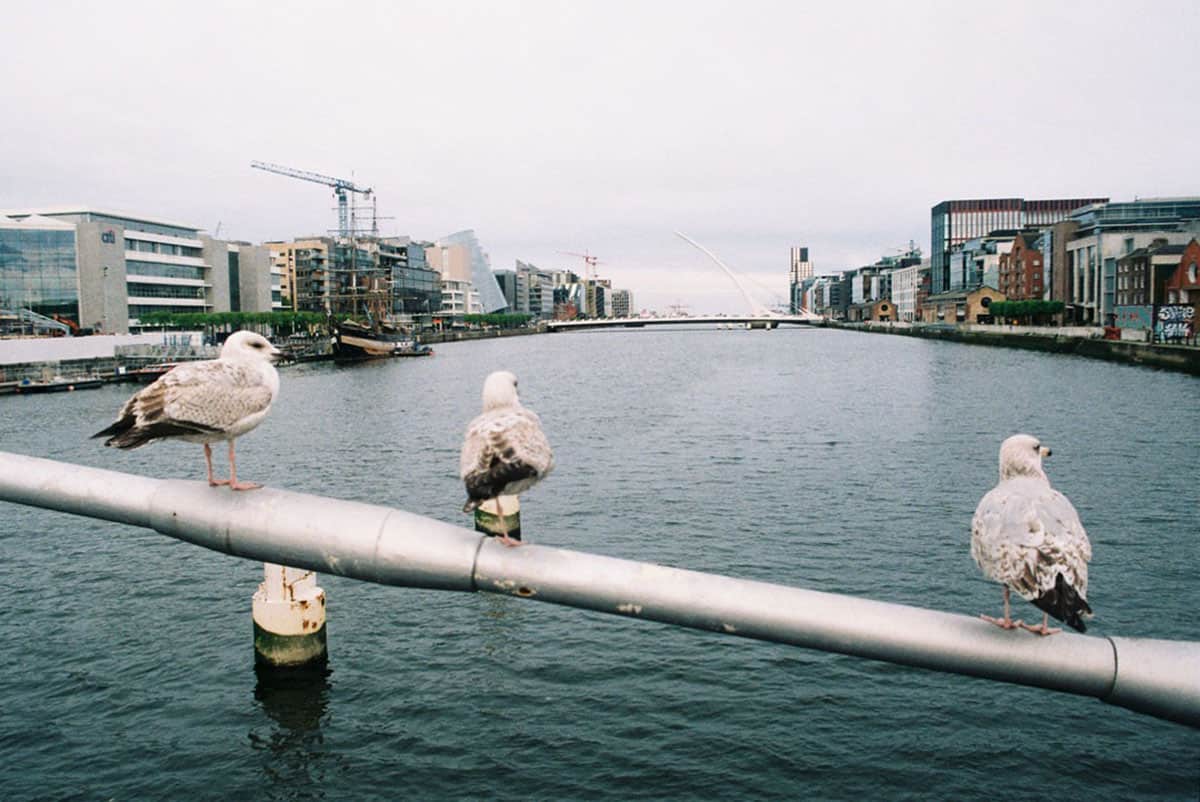 Travel Story on 35mm Film by Mary Shanahan on Shoot It With Film