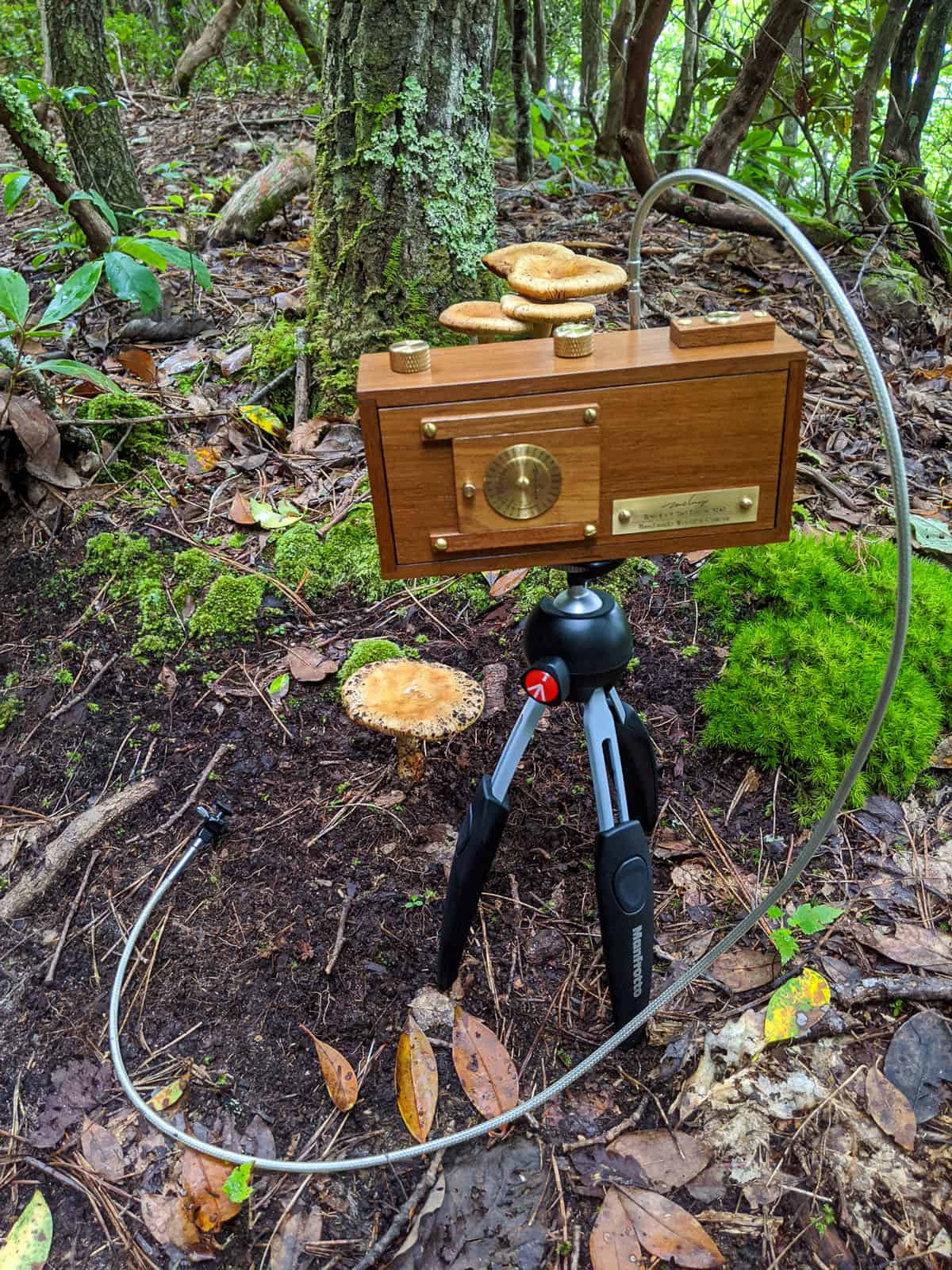Zero Image Pinhole Camera Review by Tylor Blanchard on Shoot It With Film 