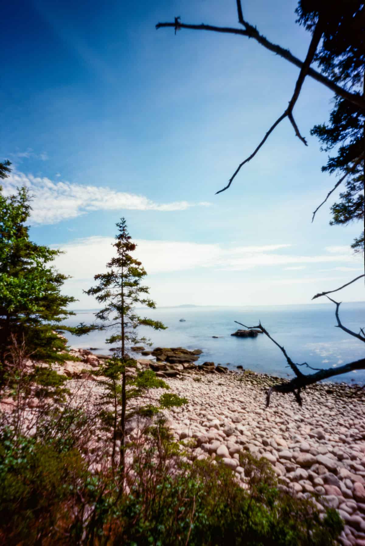 Zero Image Pinhole Camera Review by Tylor Blanchard on Shoot It With Film