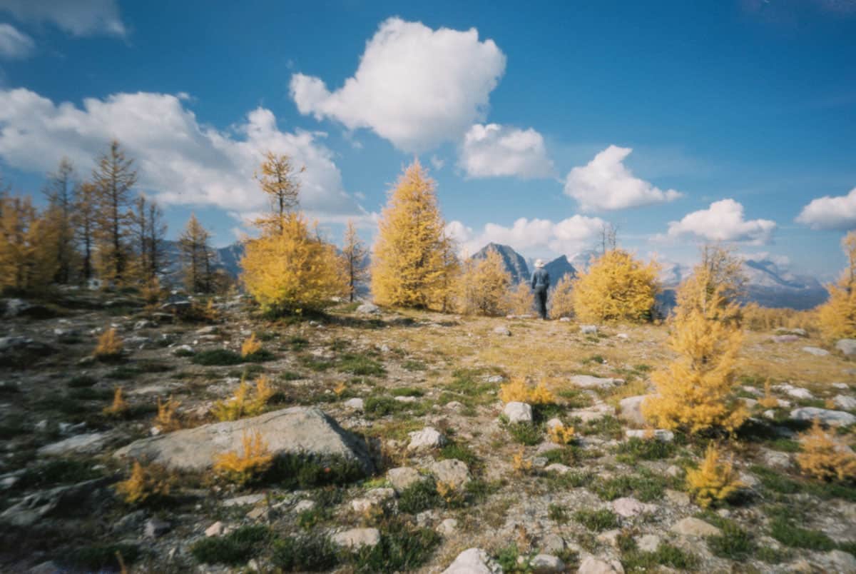 Zero Image Pinhole Camera Review by Tylor Blanchard on Shoot It With Film