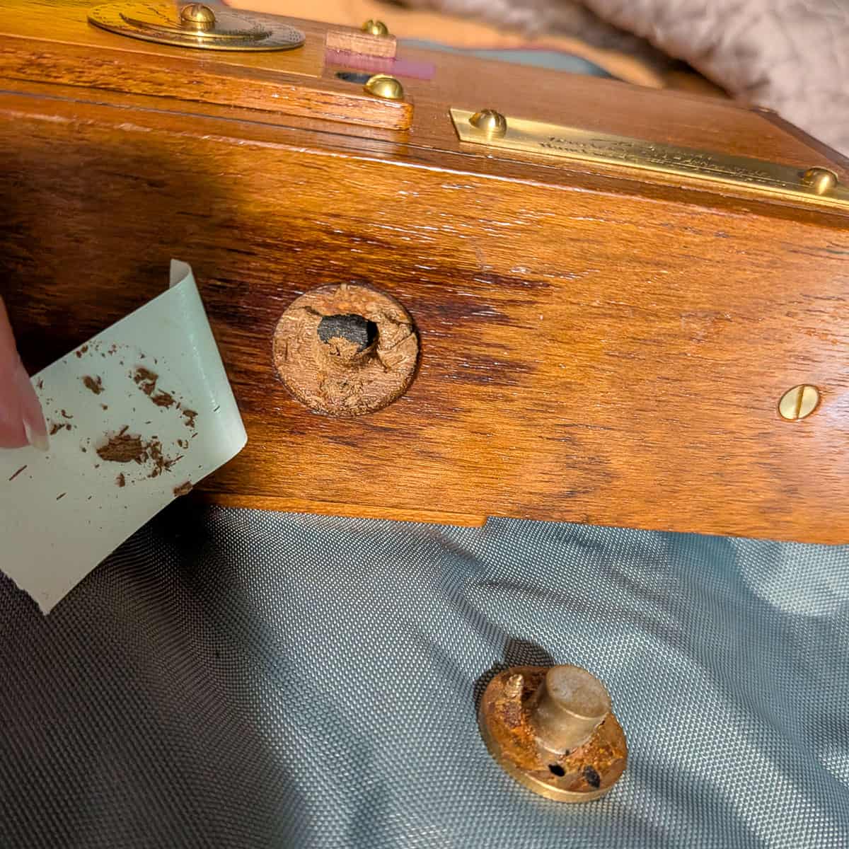 Zero Image Pinhole Camera Review by Tylor Blanchard on Shoot It With Film