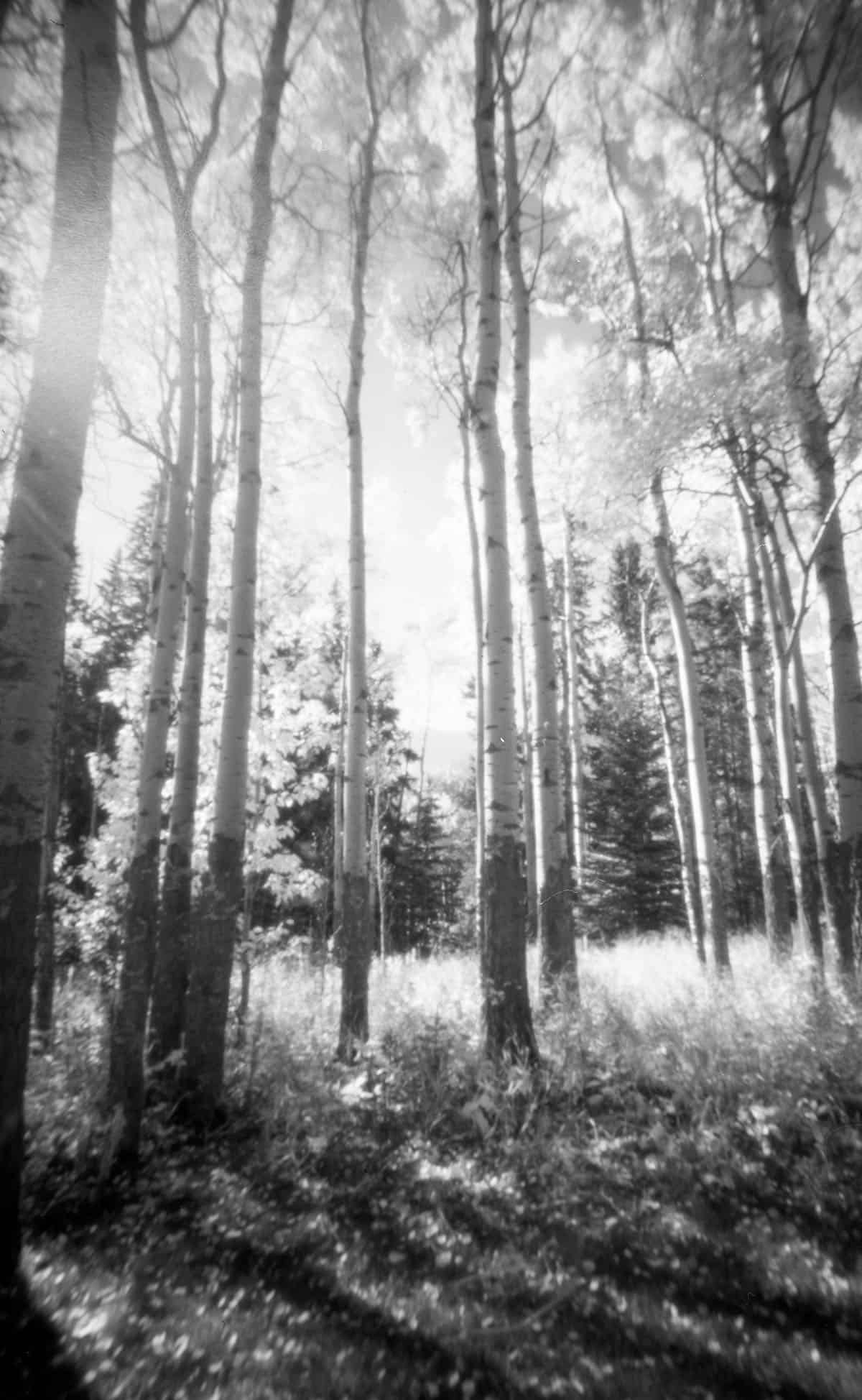 Zero Image Pinhole Camera Review by Tylor Blanchard on Shoot It With Film