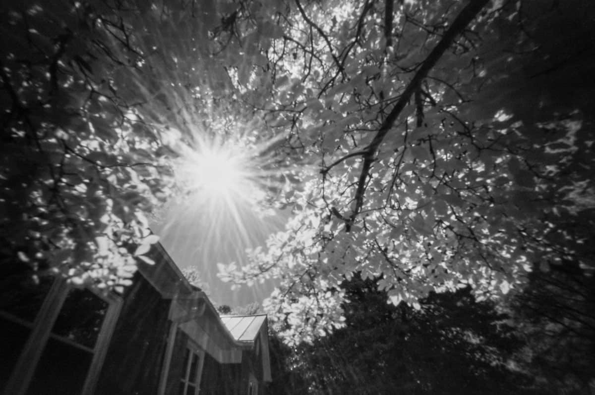 Zero Image Pinhole Camera Review by Tylor Blanchard on Shoot It With Film