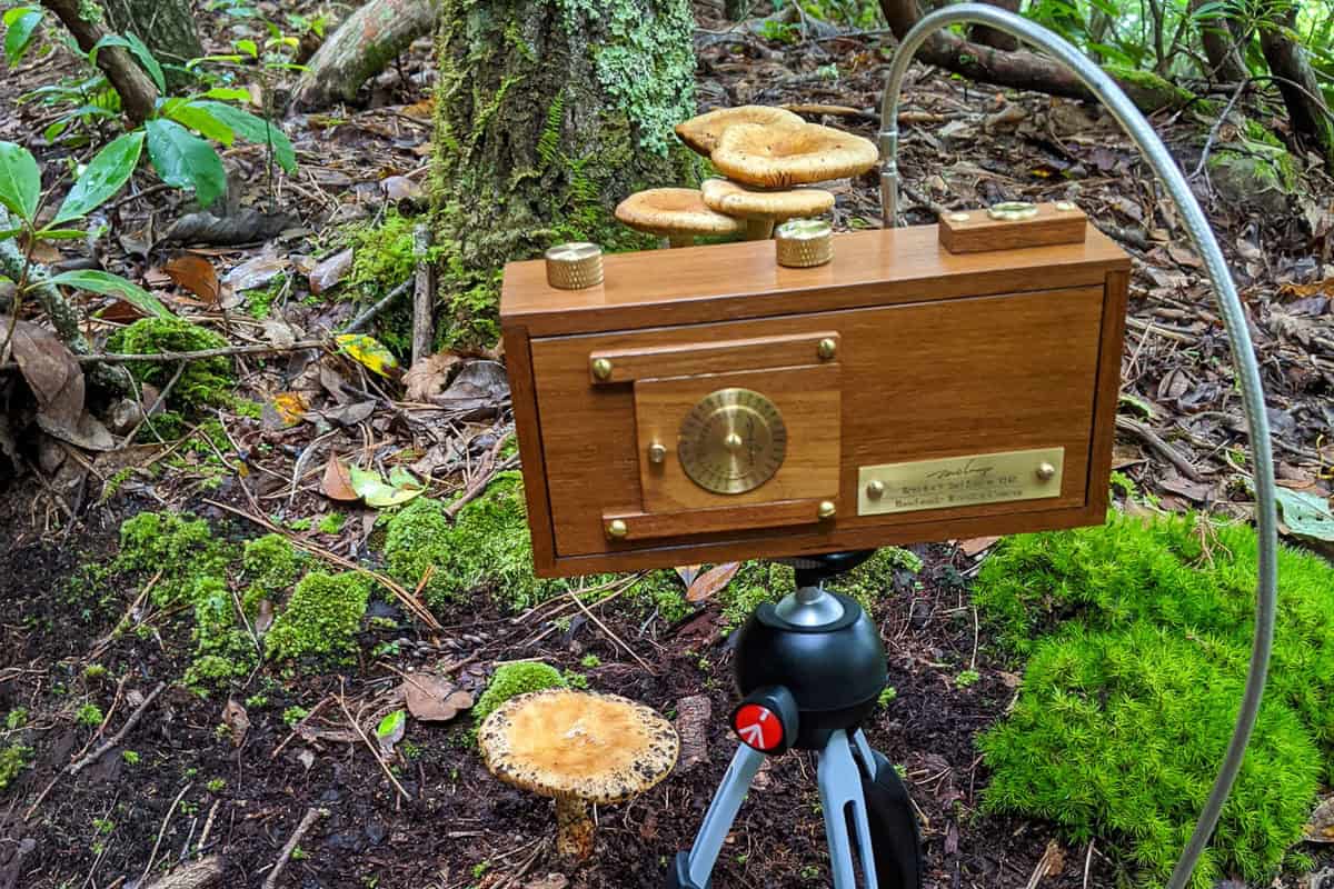 Zero Image Pinhole Camera Review by Tylor Blanchard on Shoot It With Film