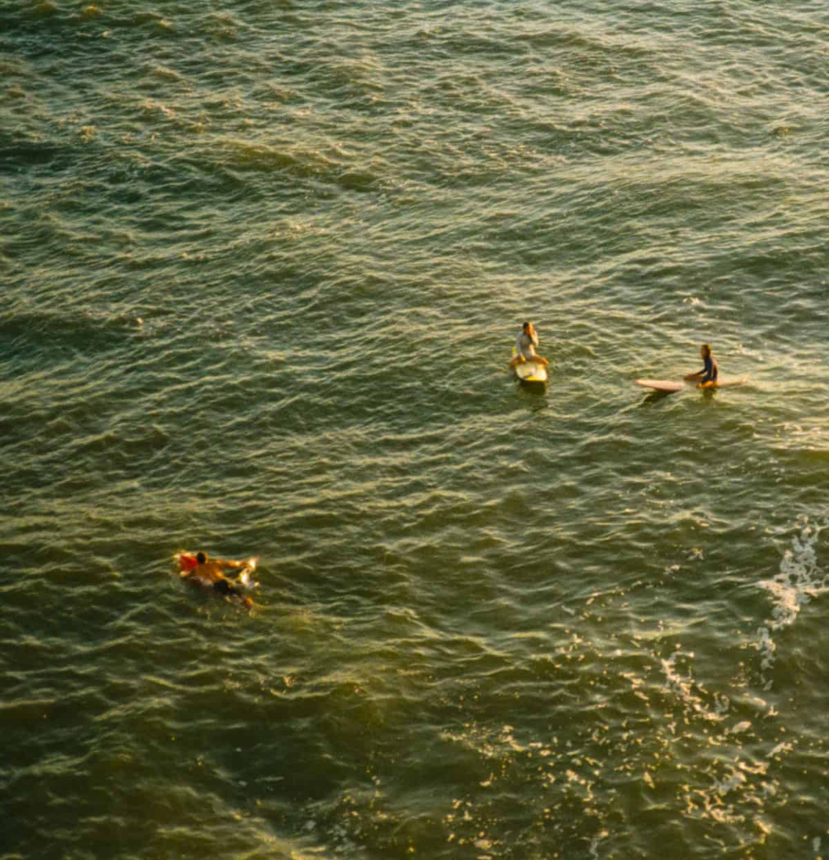 Canon EOS 650 35mm Film Camera Review by Brendan Kragel on Shoot It With Film