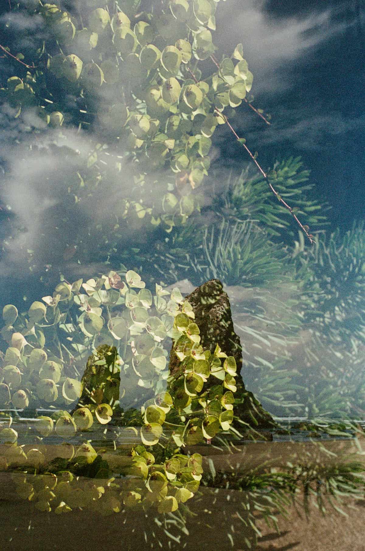 Double Exposures of the Oregon Coast on 35mm Film by Autumn Kovach on Shoot It With Film