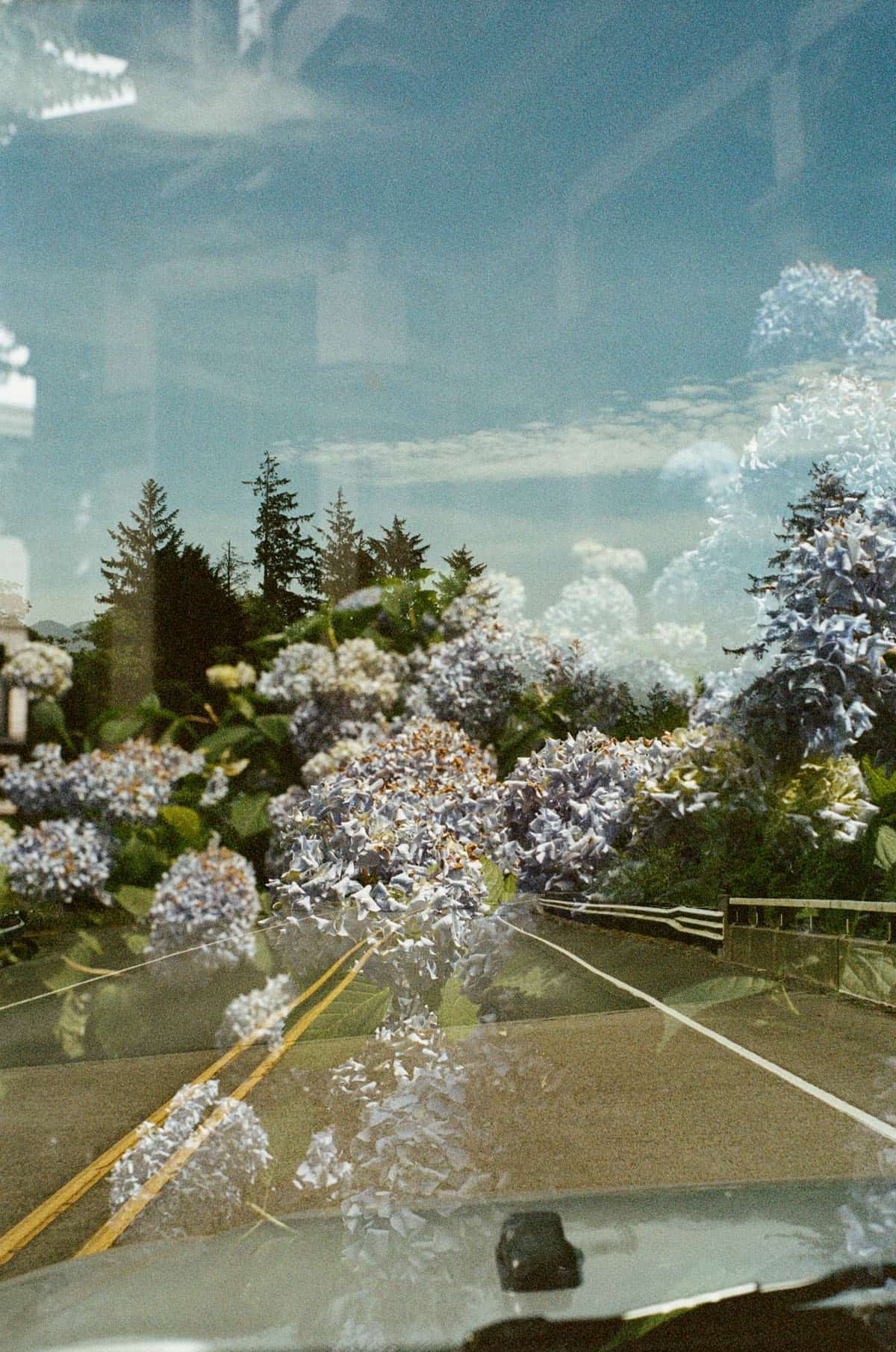 Double Exposures of the Oregon Coast on 35mm Film by Autumn Kovach on Shoot It With Film