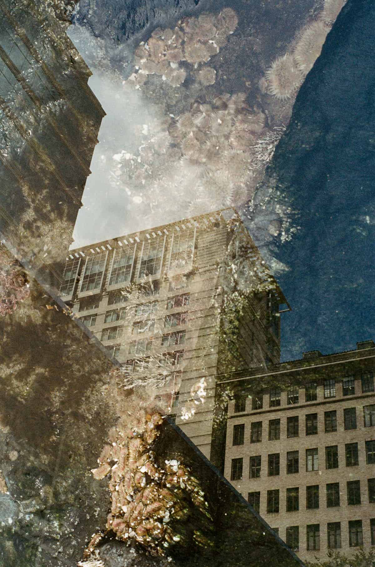 Double Exposures of the Oregon Coast on 35mm Film by Autumn Kovach on Shoot It With Film