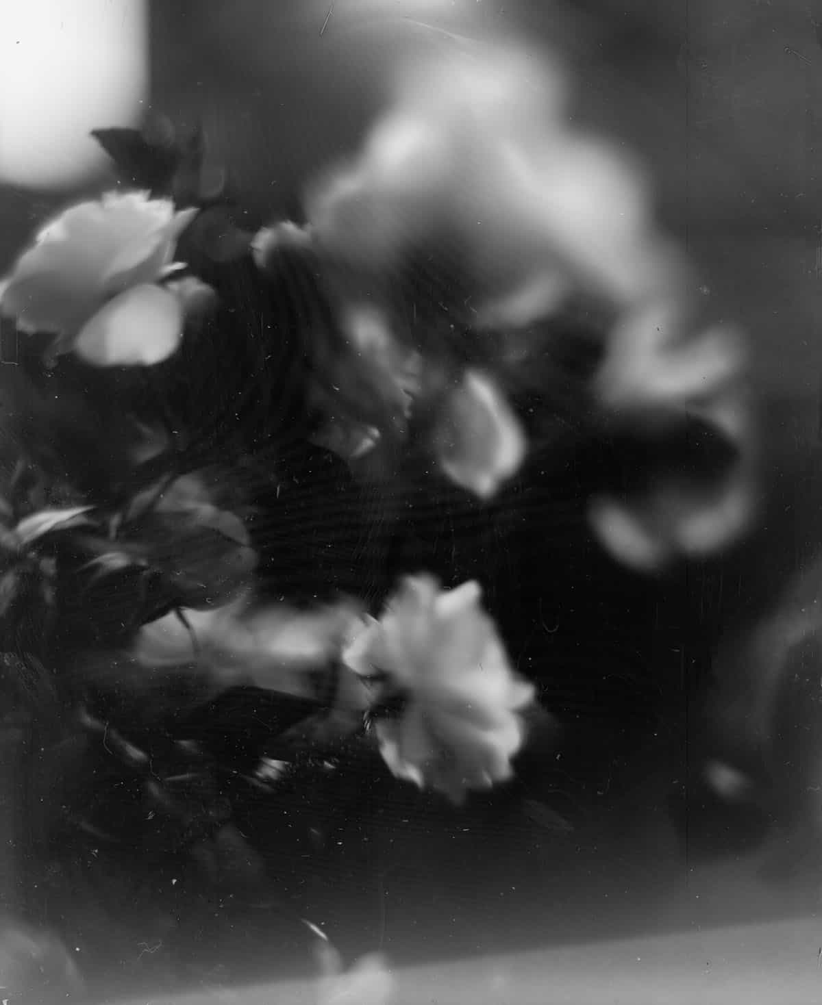 Intro Guide to Dry Plate Photography by Alec Pain on Shoot It With Film