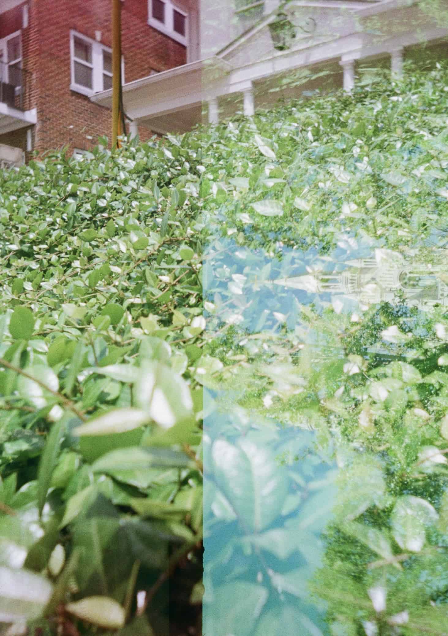 Experimental Film Series on 35mm Film by Jesse De La Cruz on Shoot It With Film