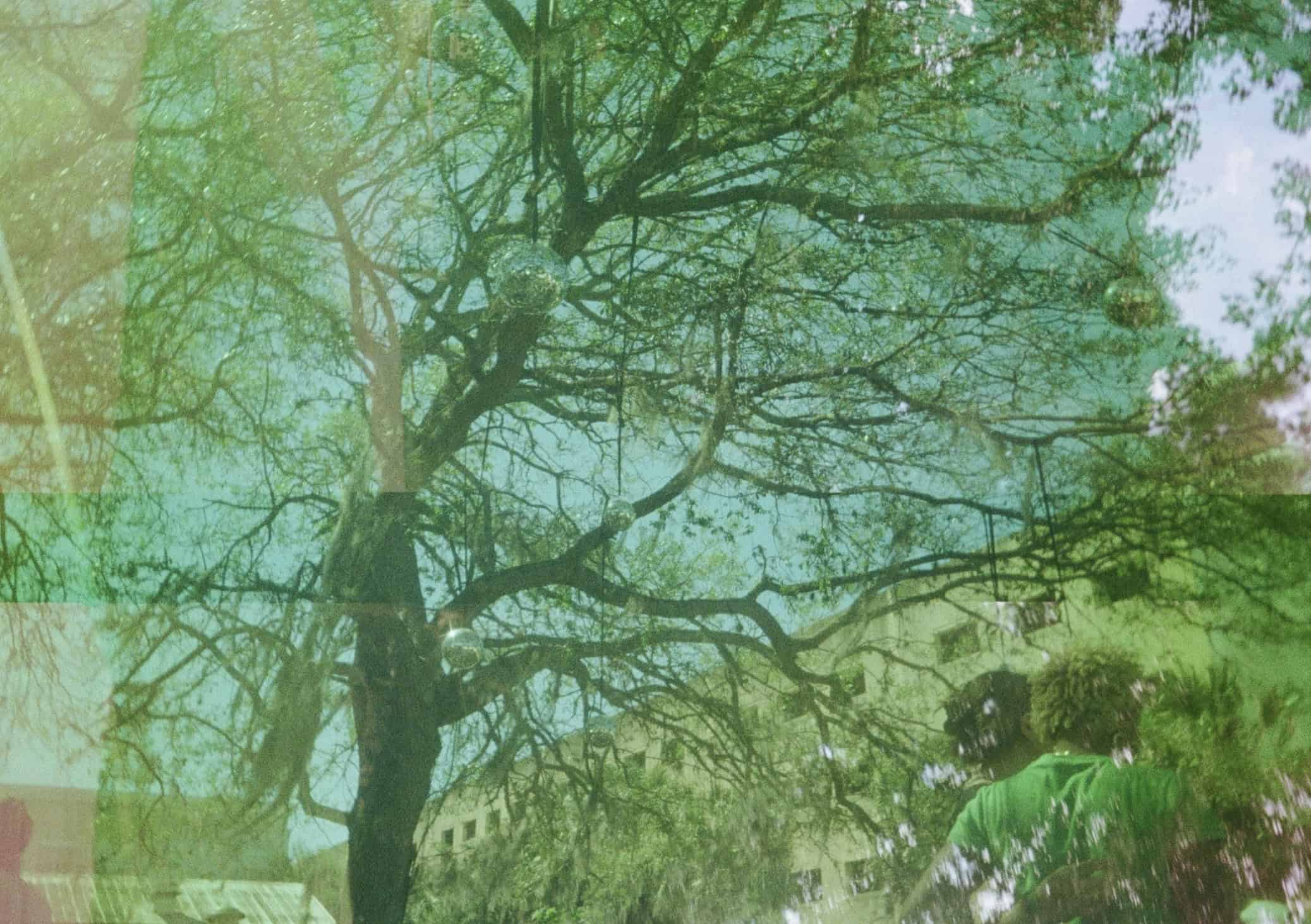 Experimental Film Series on 35mm Film by Jesse De La Cruz on Shoot It With Film