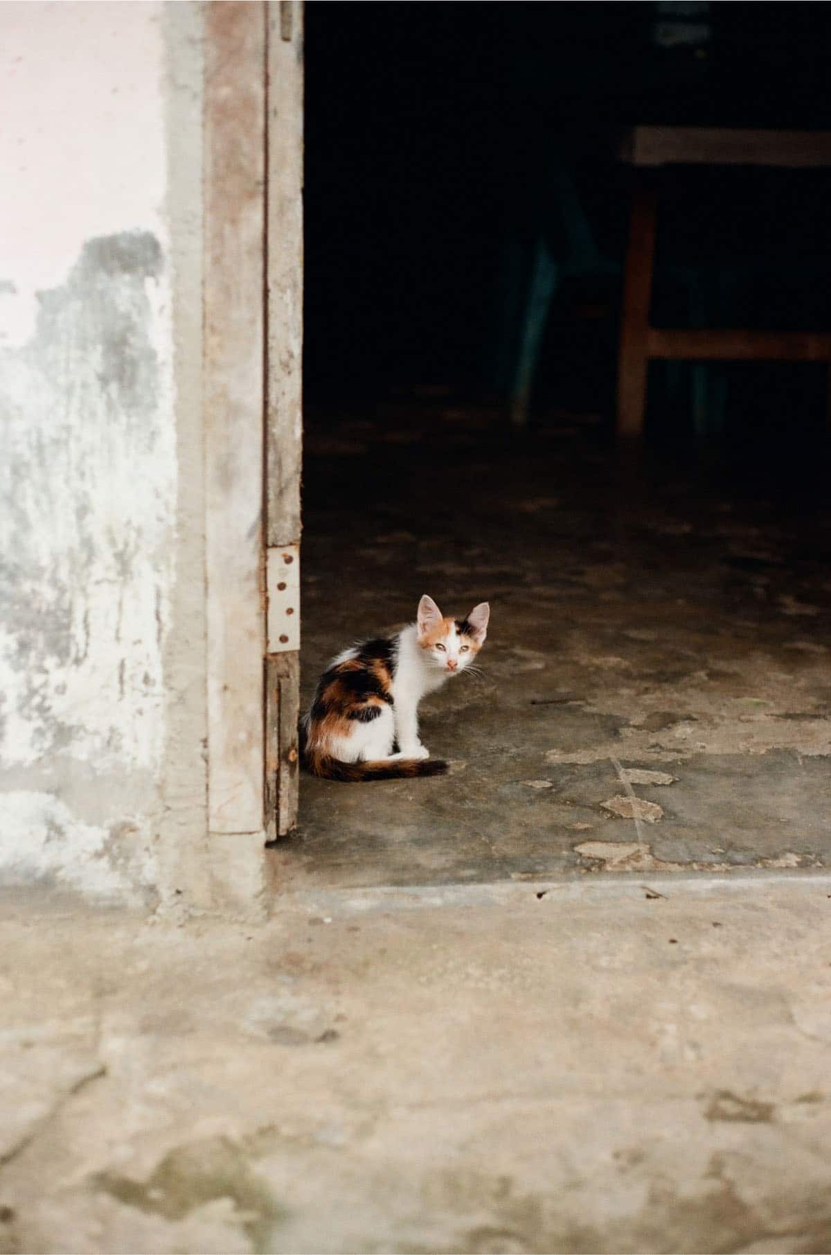 Indonesia Travel Story on 35mm Film by Magda Skocz on Shoot It With Film