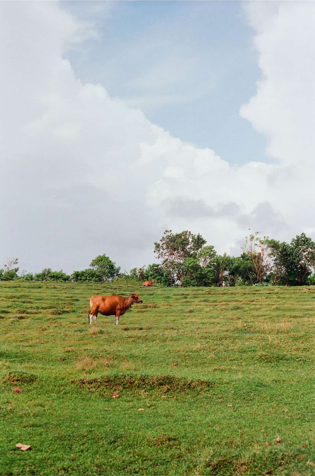 Indonesia Travel Story on 35mm Film by Magda Skocz on Shoot It With Film