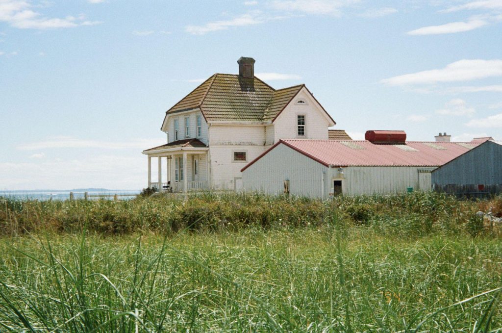 Point and Shoot Film Cameras by Katya Rowny on Shoot It With Film