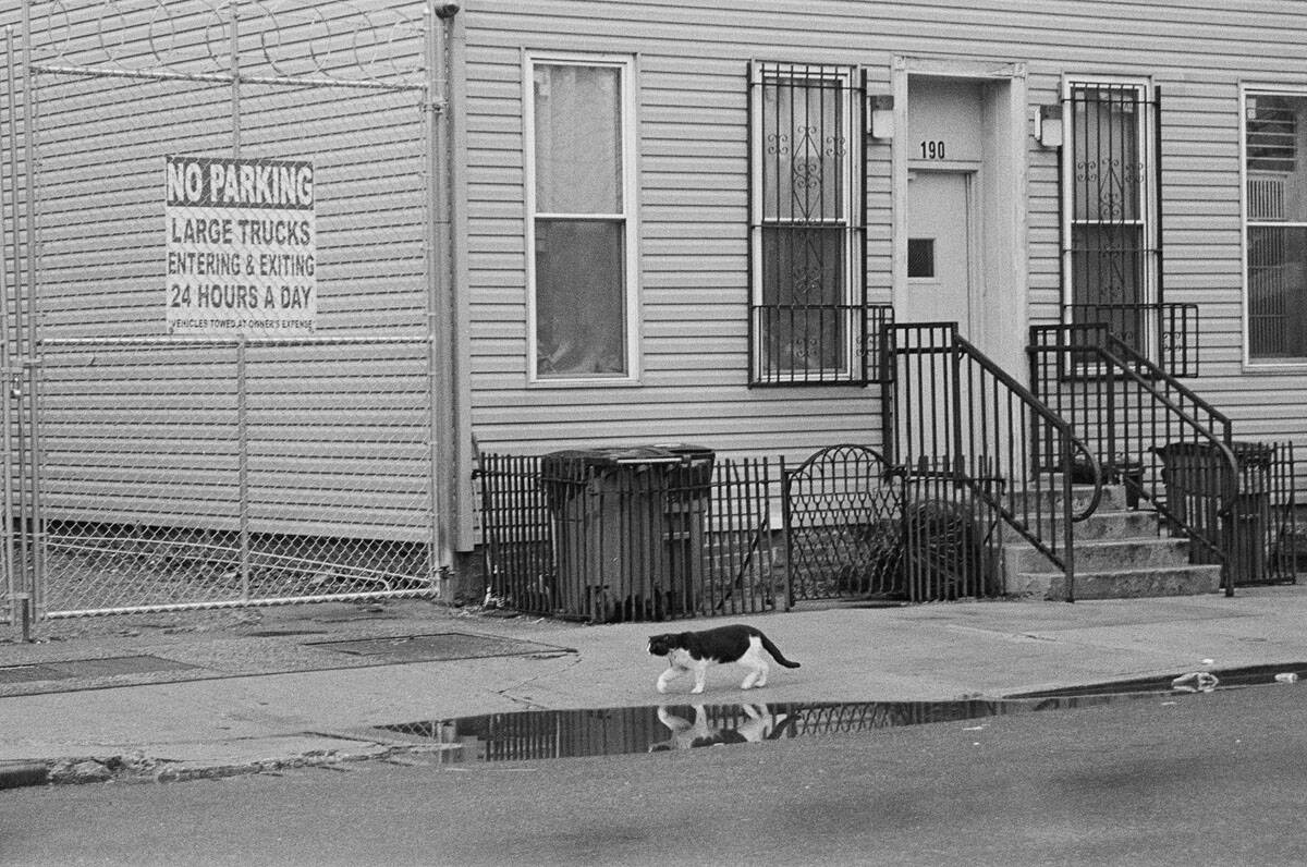 NYC Photo Story on 35mm Film by Charlotte Silverman on Shoot It With Film