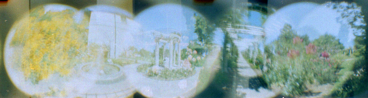 How to Create Dreamier Images on Film by Angela Izzo on Shoot It With Film