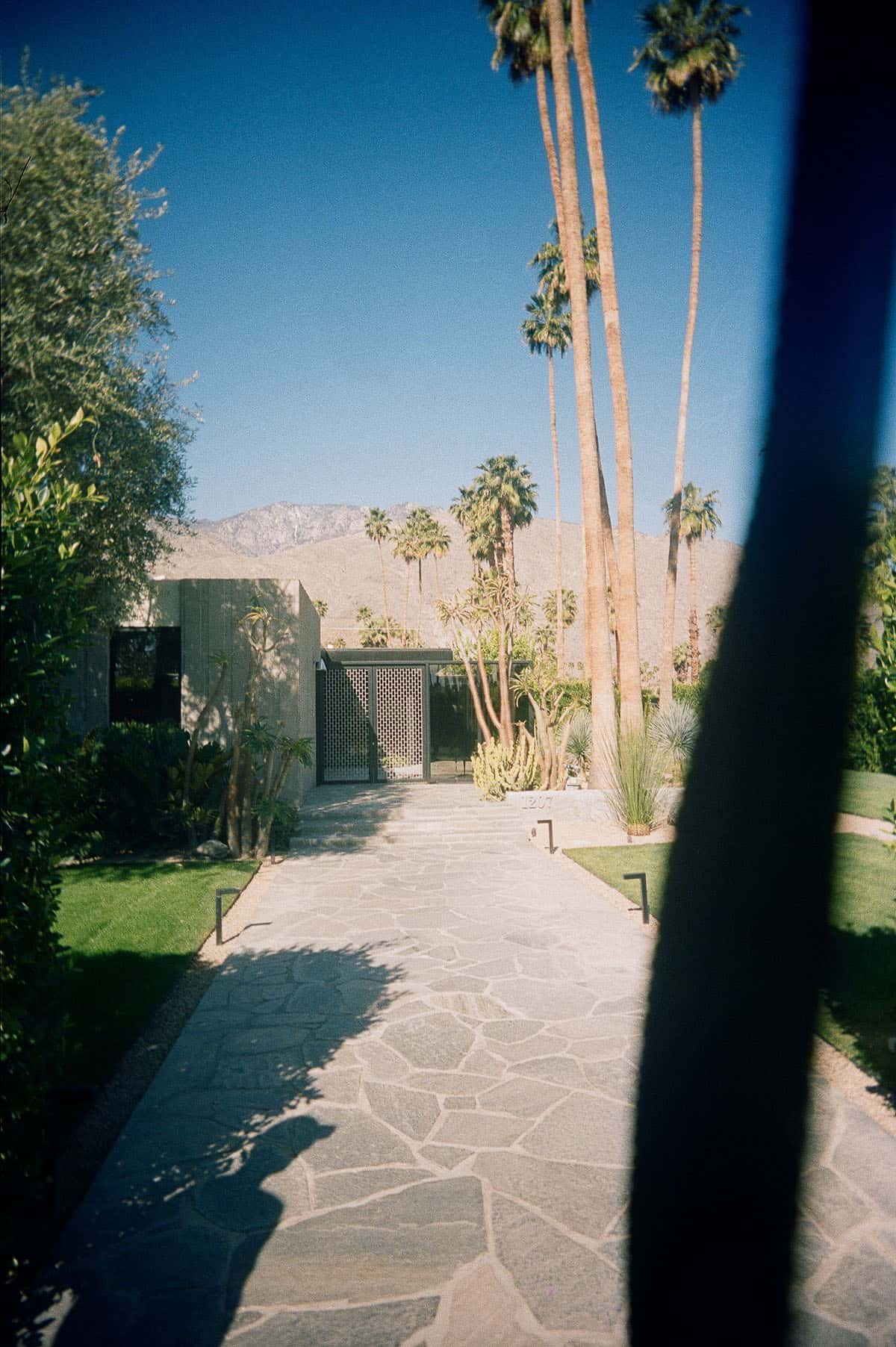 Film Photography Mistakes and How to Fix Them by Taylor Blanchard on Shoot It With Film