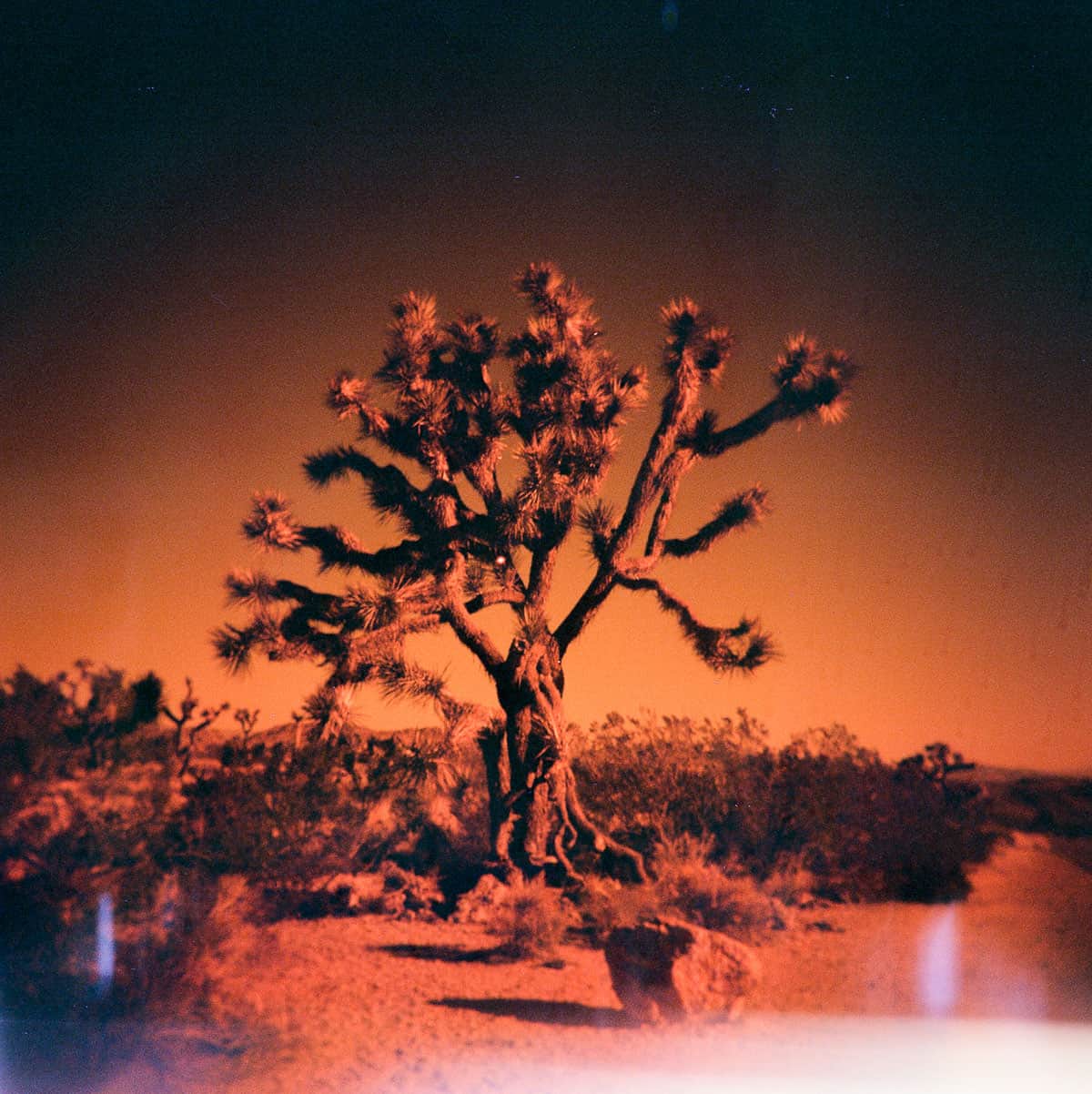 Film Photography Mistakes and How to Fix Them by Taylor Blanchard on Shoot It With Film
