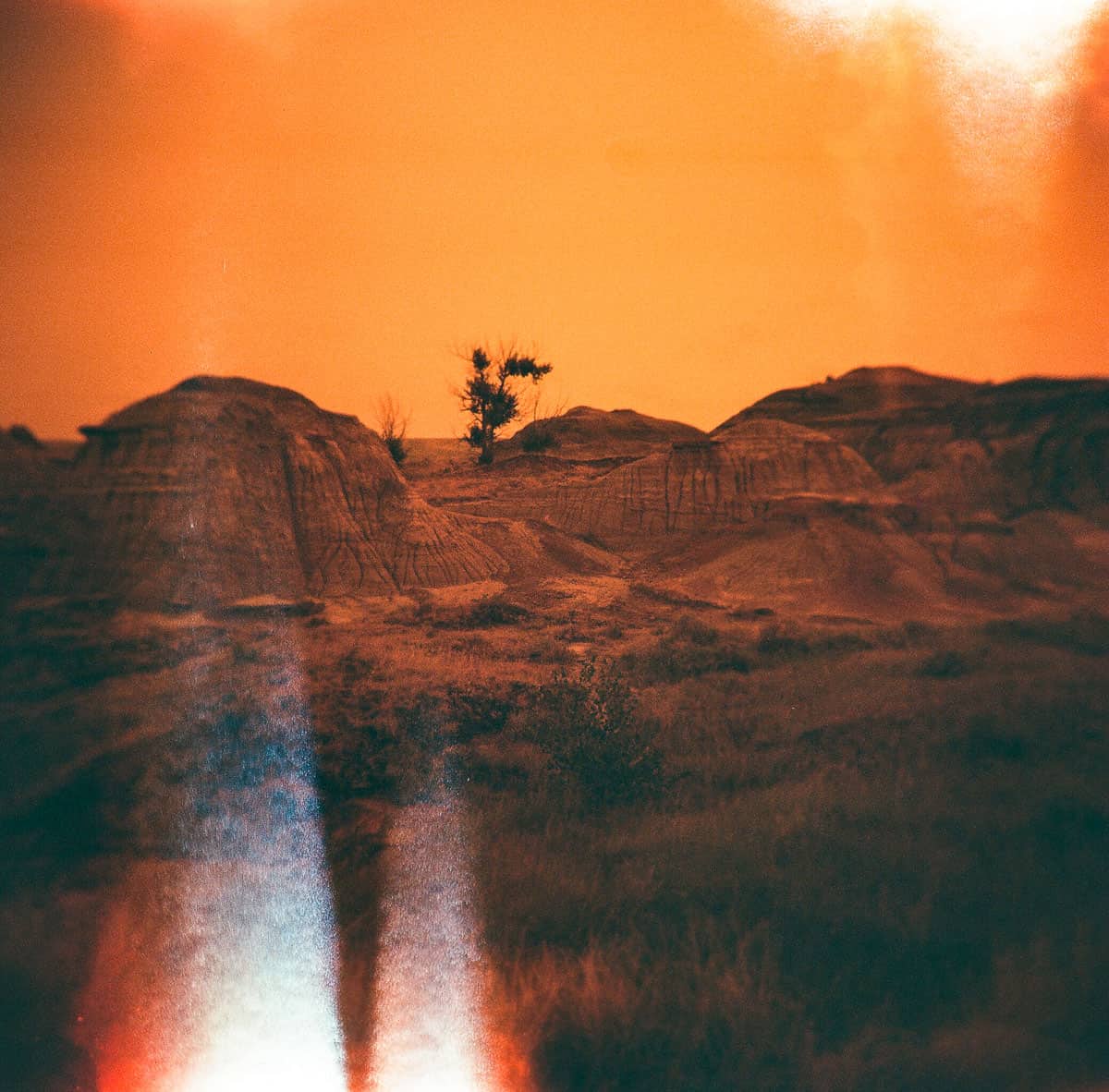 Film Photography Mistakes and How to Fix Them by Taylor Blanchard on Shoot It With Film
