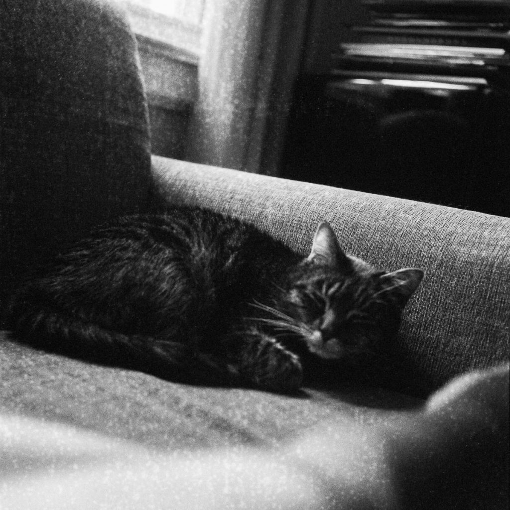 Film Photography Mistakes and How to Fix Them by Taylor Blanchard on Shoot It With Film