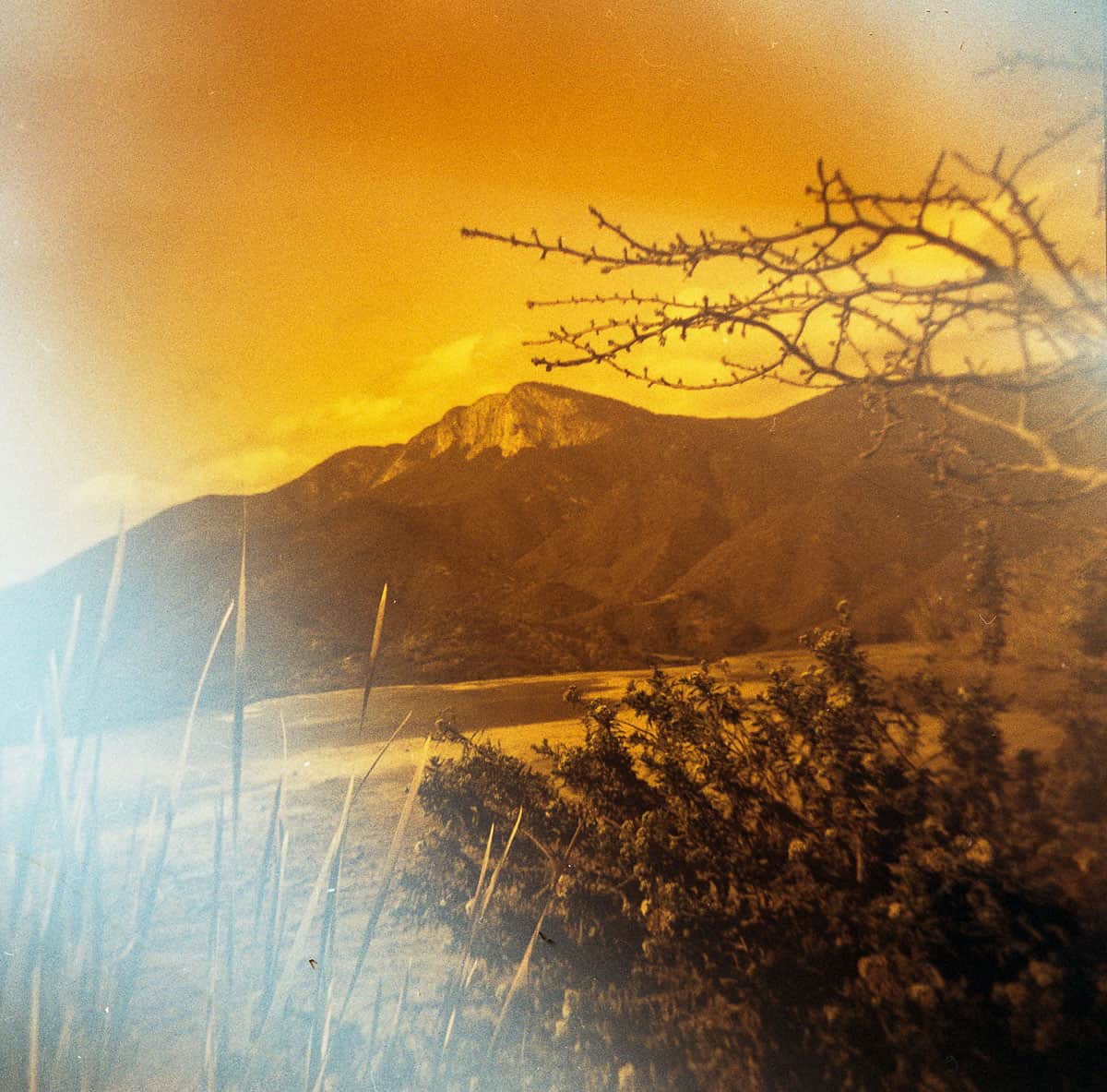 Film Photography Mistakes and How to Fix Them by Taylor Blanchard on Shoot It With Film