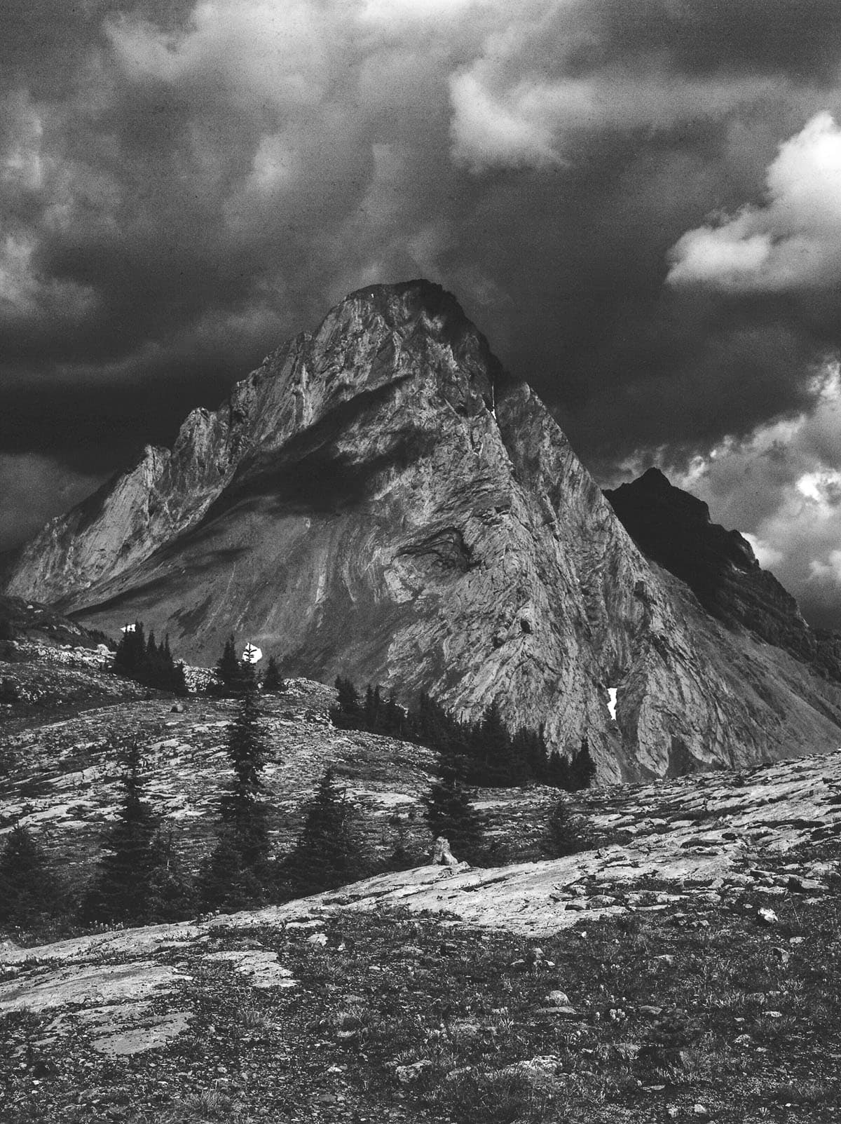 Film Photography Mistakes and How to Fix Them by Taylor Blanchard on Shoot It With Film