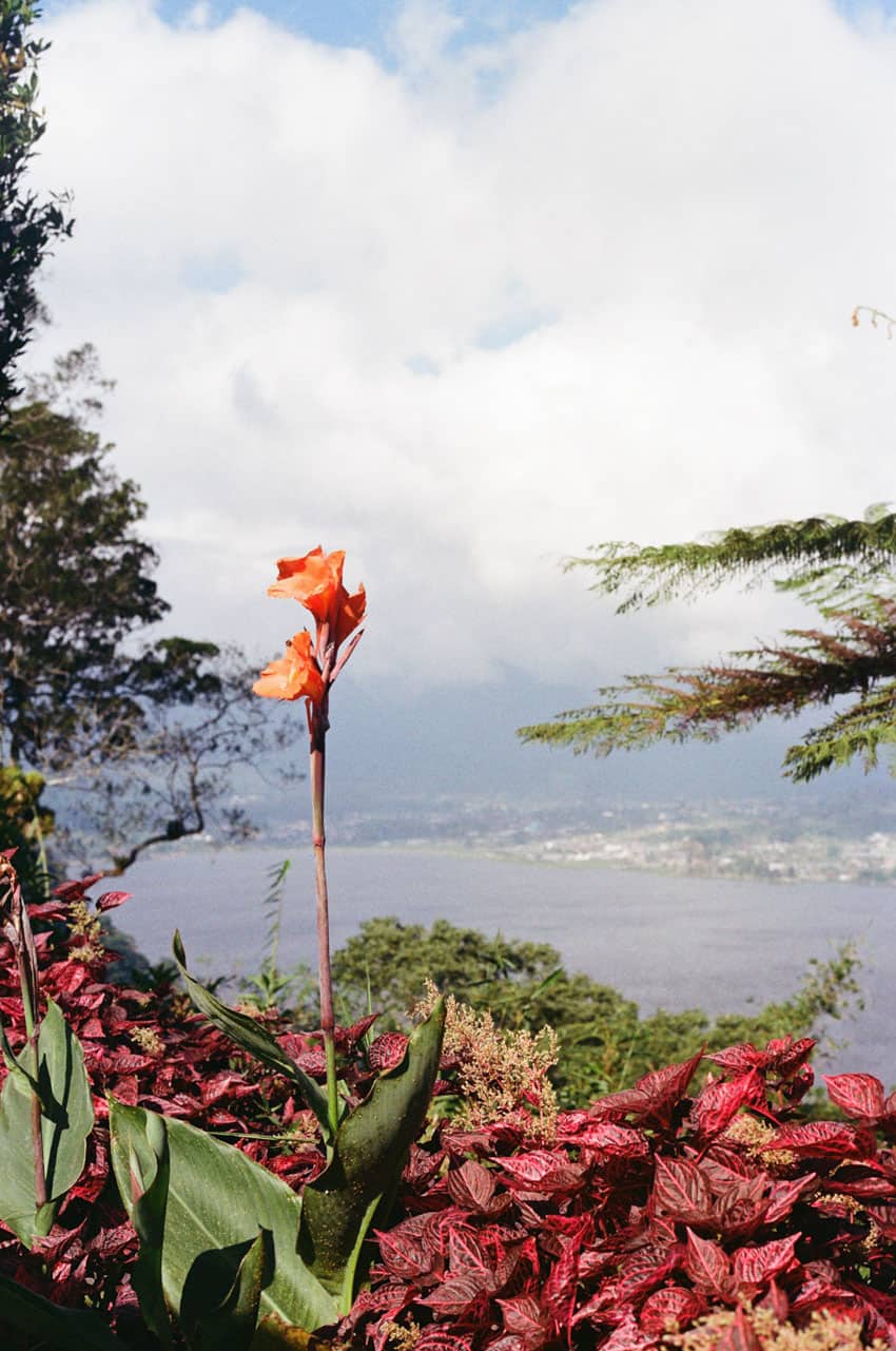 Finding Peace in Bali: A Photo Story on 35mm Film by Emma Begley on Shoot It With Film
