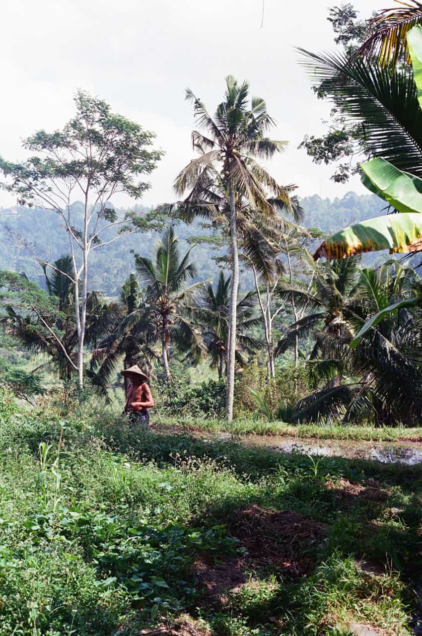 Finding Peace in Bali: A Photo Story on 35mm Film by Emma Begley on Shoot It With Film