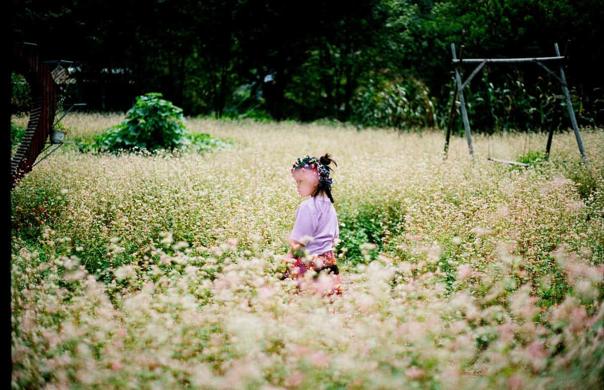 Vietnam Travel Essay on 35mm Film by Antoine Dupierre on Shoot It With Film